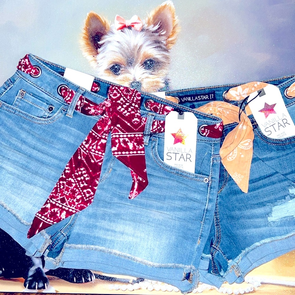$15 sale for Two Vanilla Star Juniors Shorts